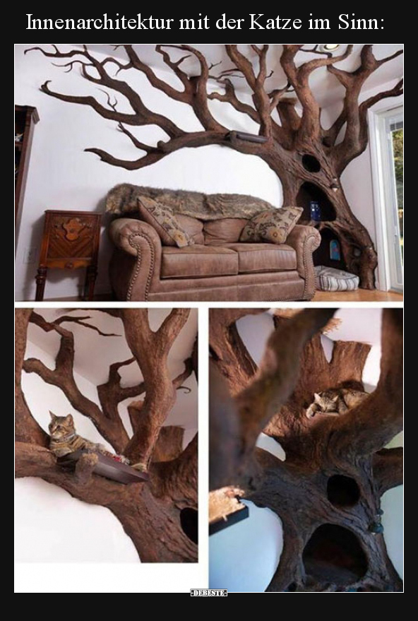 Innenarchitektur mit der Katze im Sinn..