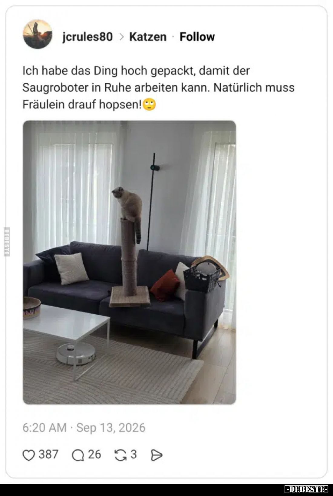 Ich habe das Ding hoch gepackt, damit der Saugroboter in.. - Lustige Bilder | DEBESTE.de