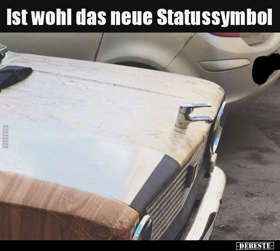 Ist wohl das neue Statussymbol.. - Lustige Bilder | DEBESTE.de
