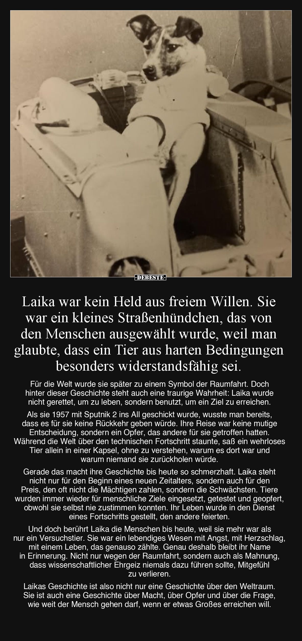 Laika war kein Held aus freiem Willen.. - Lustige Bilder | DEBESTE.de