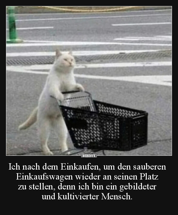 Ich nach dem Einkaufen, um den sauberen Einkaufswagen.. - Lustige Bilder | DEBESTE.de