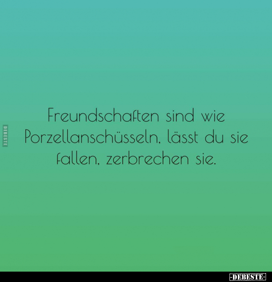 Freundschaften sind wie Porzellanschüssel.. - Lustige Bilder | DEBESTE.de