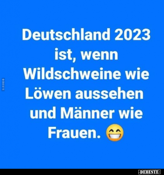 Deutschland 2023 ist, wenn Wildschweine wie Löwen.. - Lustige Bilder | DEBESTE.de