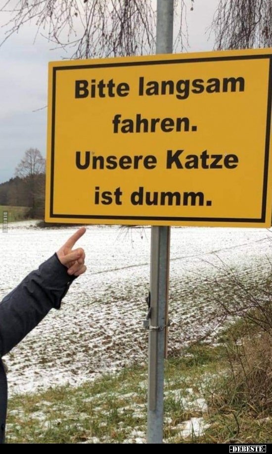 Bitte langsam fahren. Unsere Katze ist dumm... - Lustige Bilder | DEBESTE.de