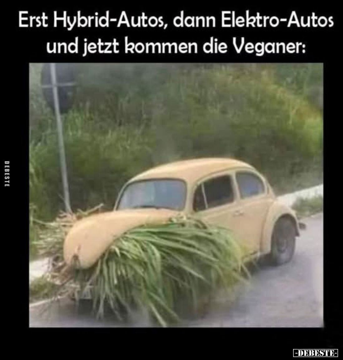 Erst Hybrid-Autos, dann Elektro-Autos und jetzt kommen die Veganer: