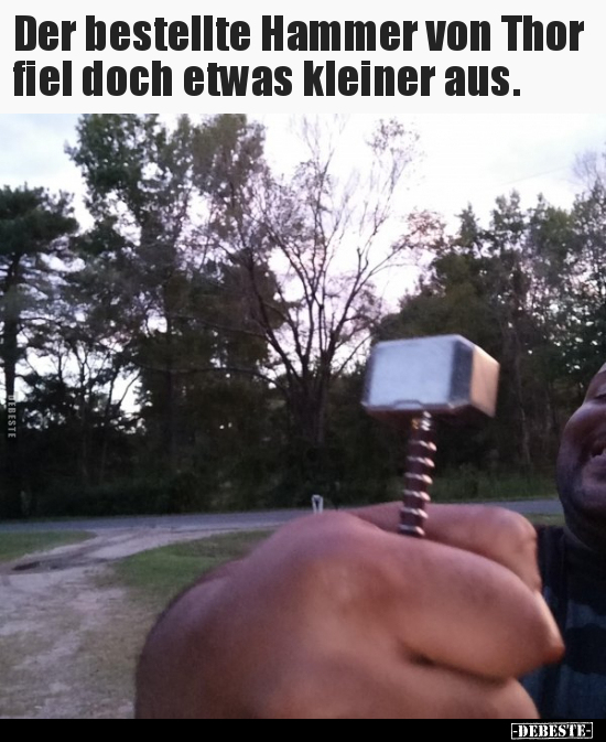 Der bestellte Hammer von Thor fiel doch etwas kleiner.. - Lustige Bilder | DEBESTE.de