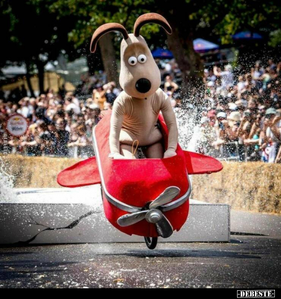  - Lustige Bilder | DEBESTE.de