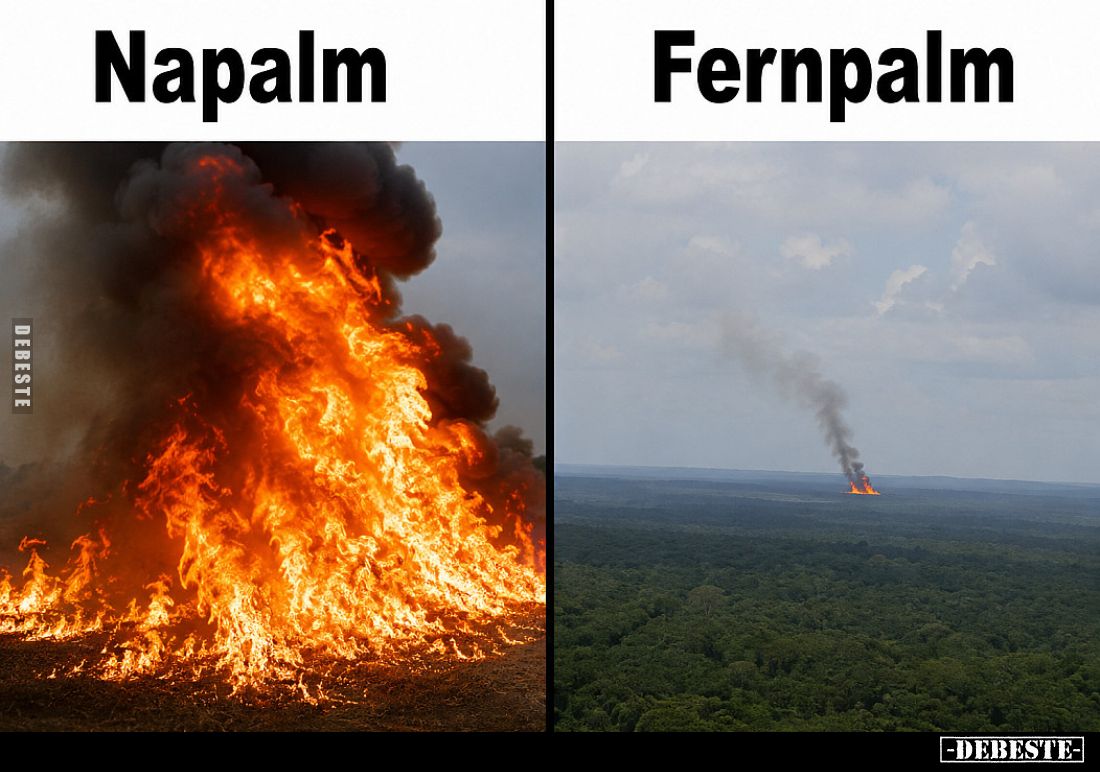 Napalm - Fernpalm