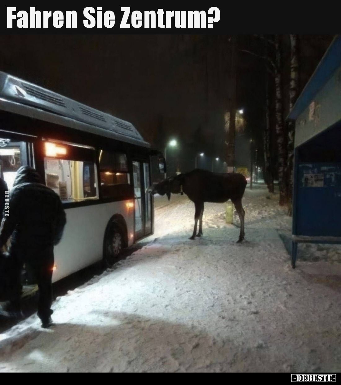 Fahren Sie Zentrum?