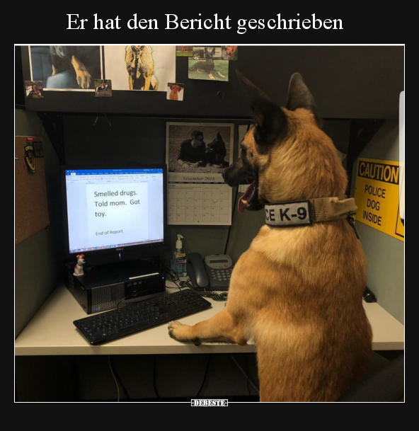 Er hat den Bericht geschrieben.. - Lustige Bilder | DEBESTE.de