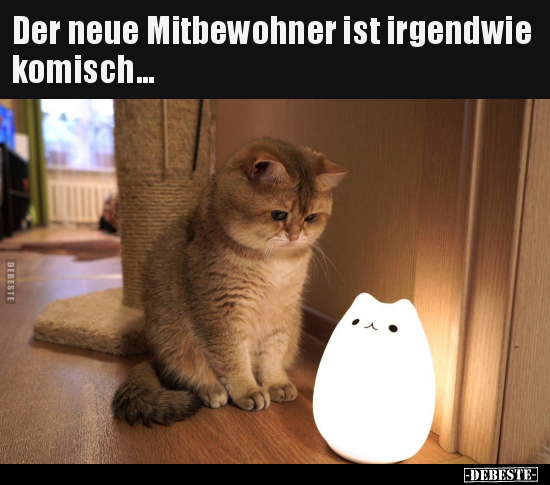 Der neue Mitbewohner ist irgendwie komisch... - Lustige Bilder | DEBESTE.de