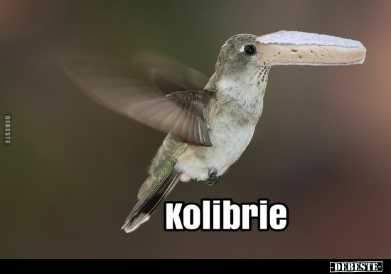 Kolibrie