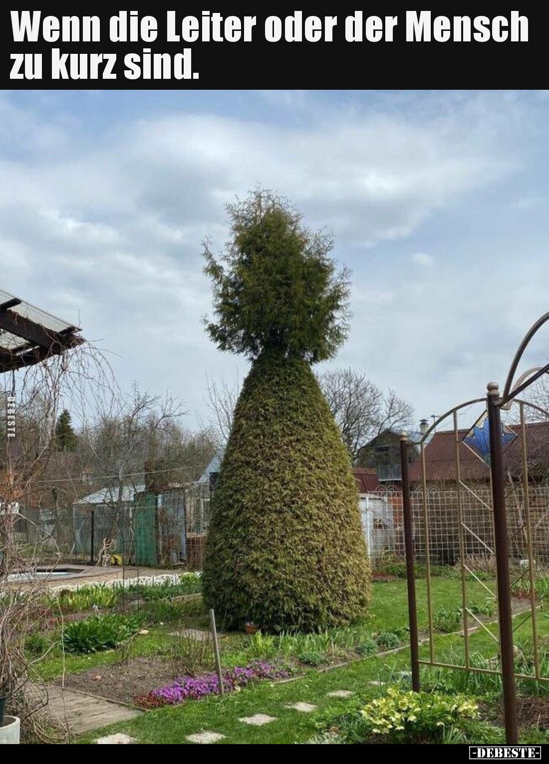 Wenn die Leiter oder der Mensch zu kurz sind.