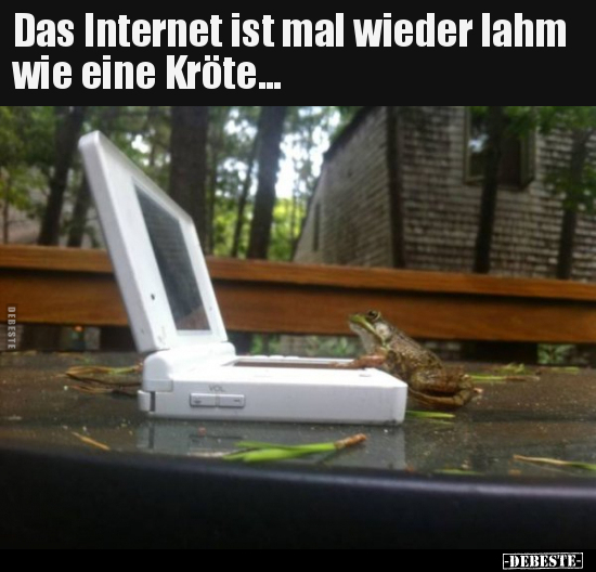 Das Internet ist mal wieder lahm wie eine Kröte...