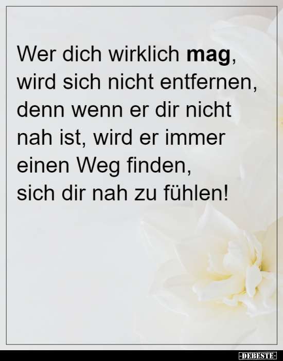 Wer dich wirklich mag, wird sich nicht entfernen, denn wenn..