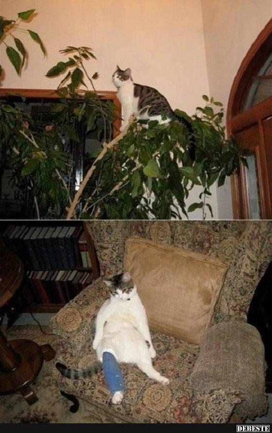 :(