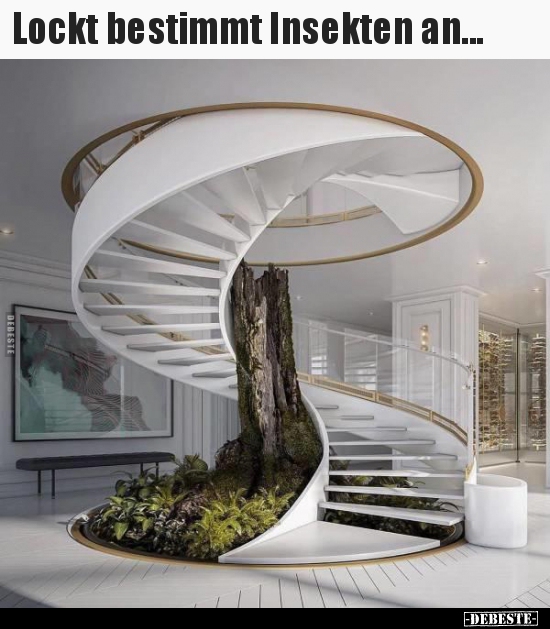 Lockt bestimmt Insekten an...