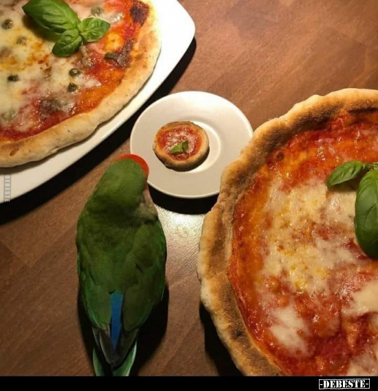  - Lustige Bilder | DEBESTE.de