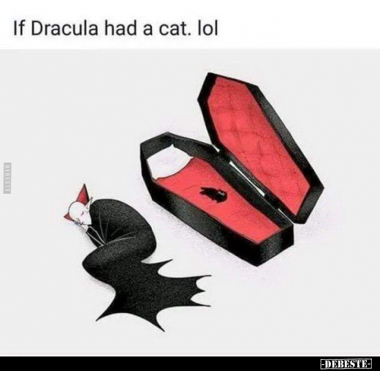  - Lustige Bilder | DEBESTE.de