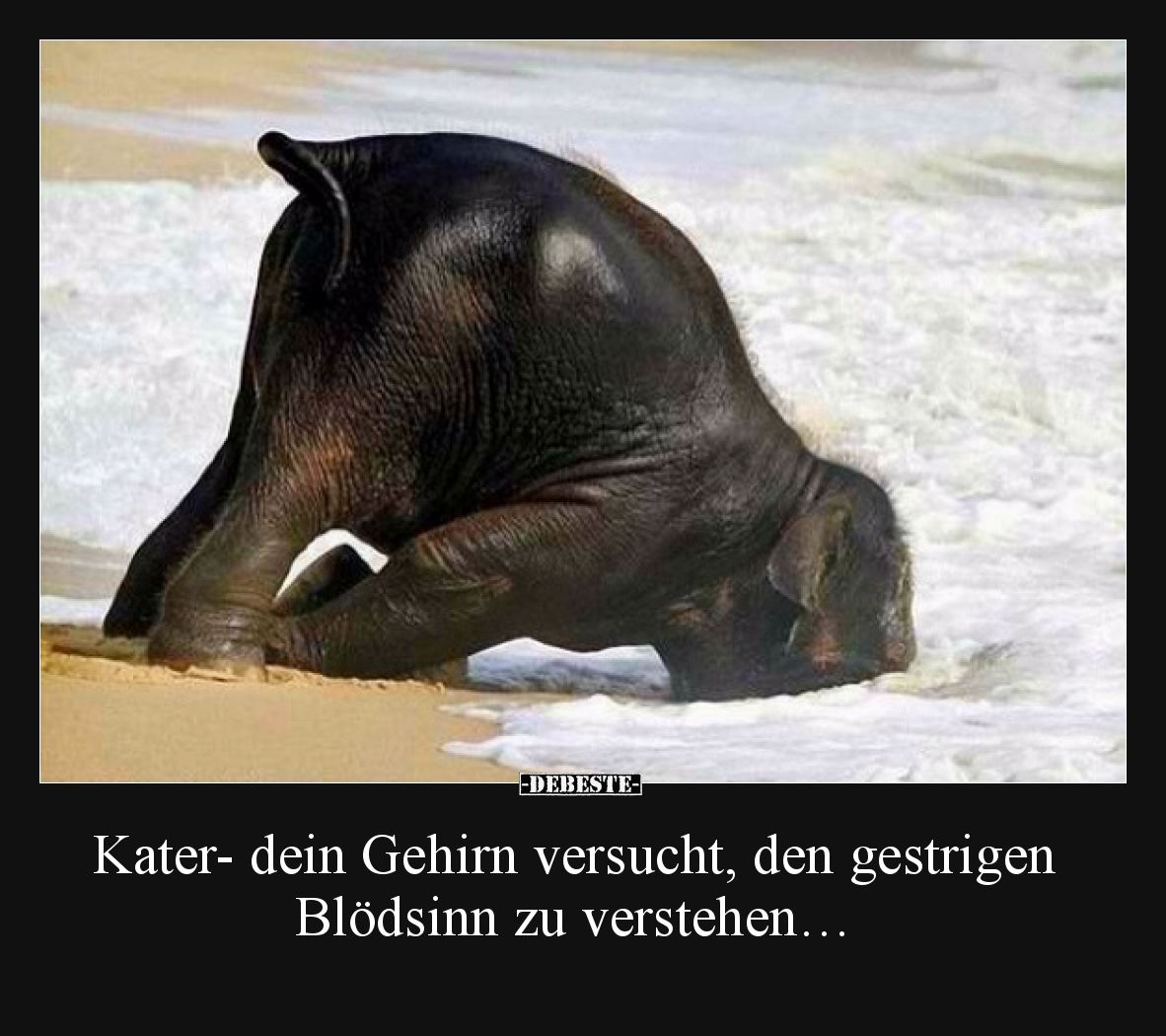 Kater- dein Gehirn versucht, den gestrigen Blödsinn zu verstehen…