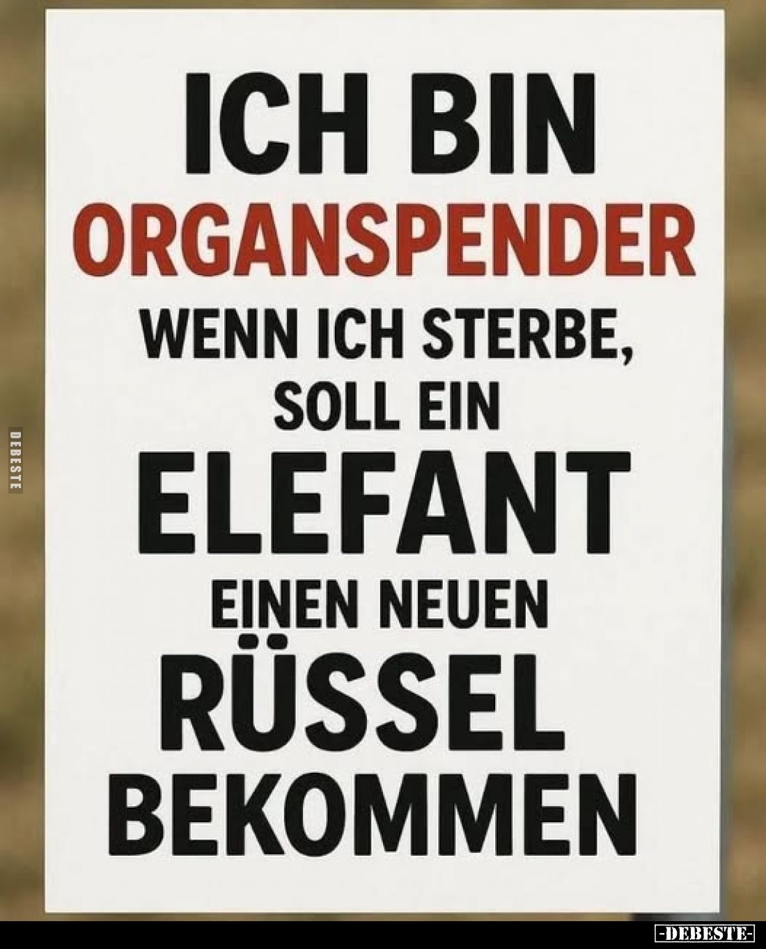 Ich bin
Organspender wenn ich sterbe, soll ein Elefant einen neuen Rüssel bekommen.