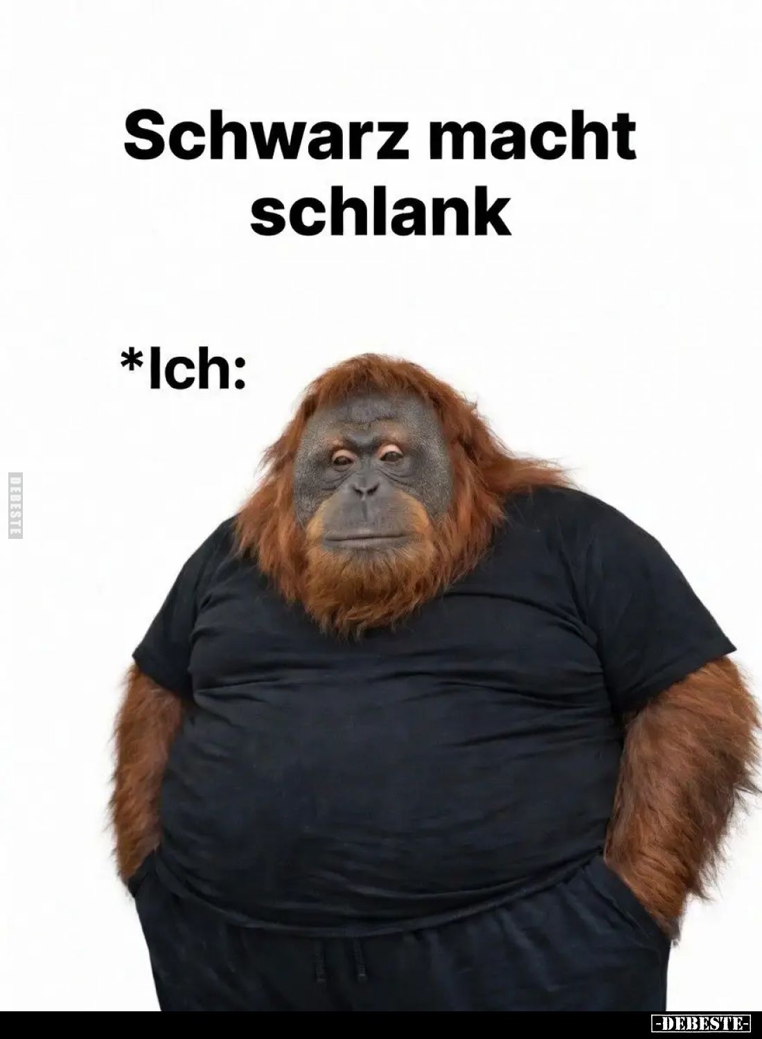  - Lustige Bilder | DEBESTE.de