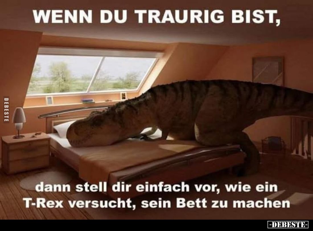Wenn du traurig bist,
dann stell dir einfach vor, wie ein T-Rex versucht, sein Bett zu machen.