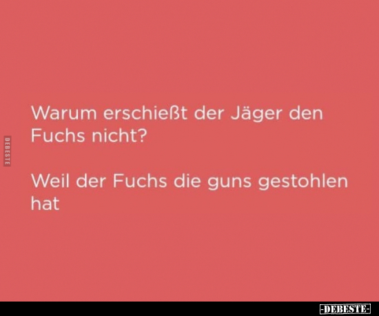Warum erschießt der Jäger den Fuchs nicht?.. - Lustige Bilder | DEBESTE.de