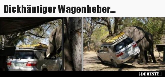 Dickhäutiger Wagenheber... - Lustige Bilder | DEBESTE.de