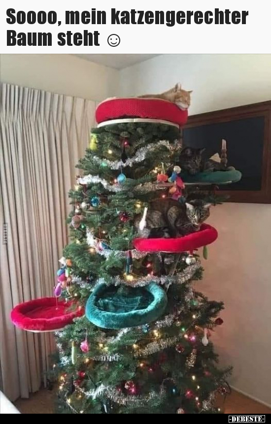 Soooo, mein katzengerechter Baum steht ☺.. - Lustige Bilder | DEBESTE.de