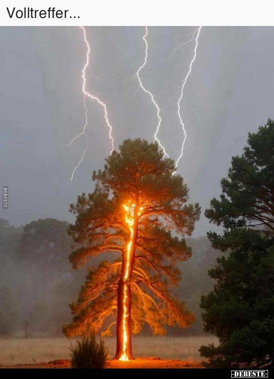 Volltreffer...