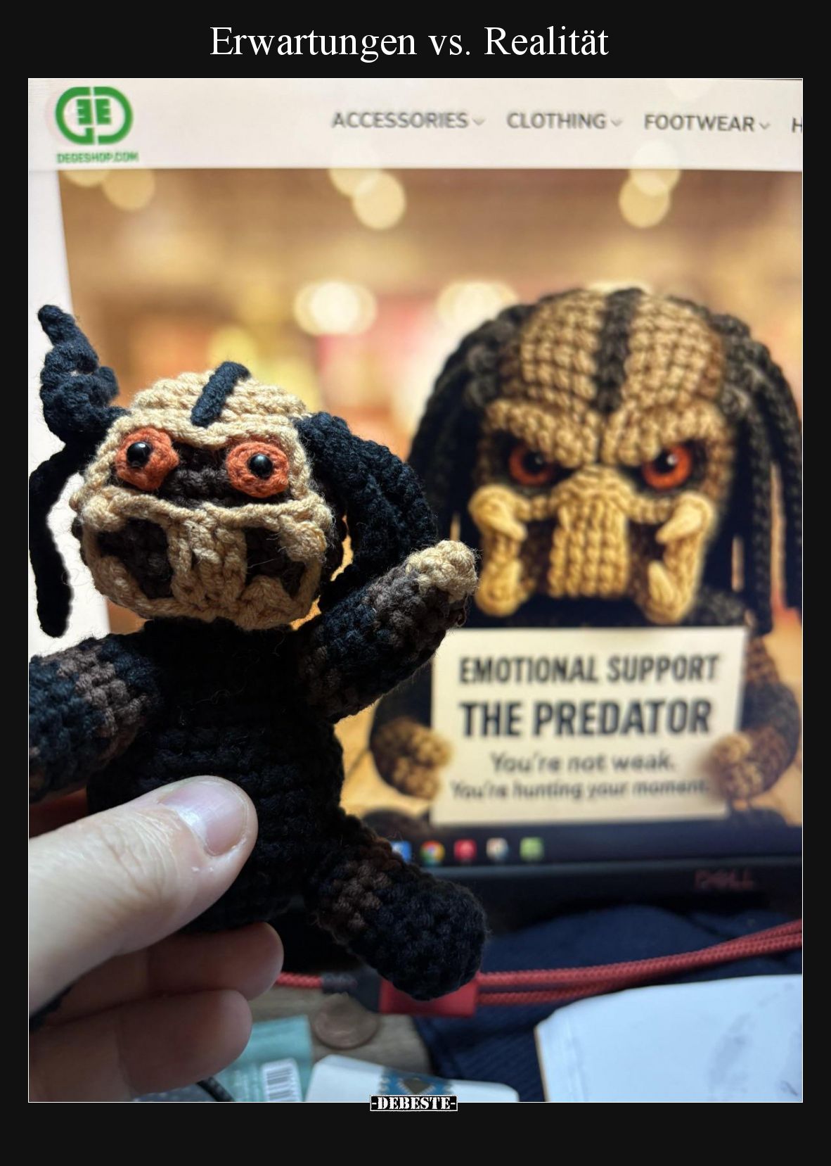 Erwartungen vs. Realität