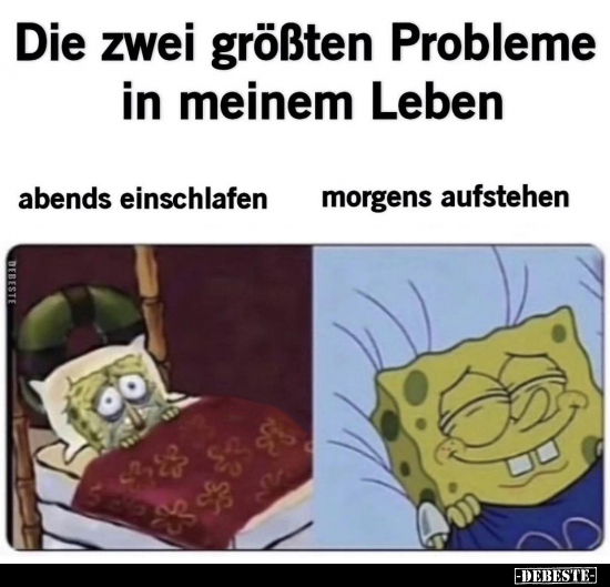 Die zwei größten Probleme in meinem Leben.. - Lustige Bilder | DEBESTE.de