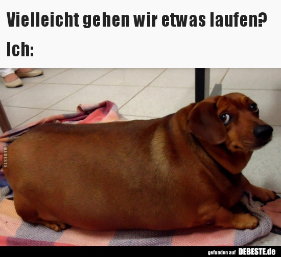 Vielleicht gehen wir etwas laufen?..