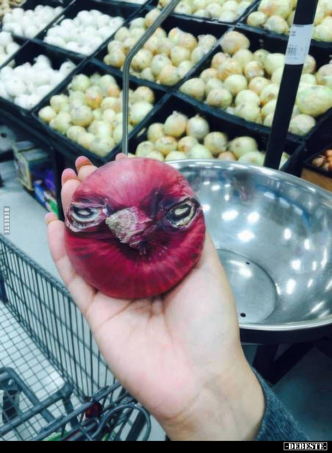 Angry Bird