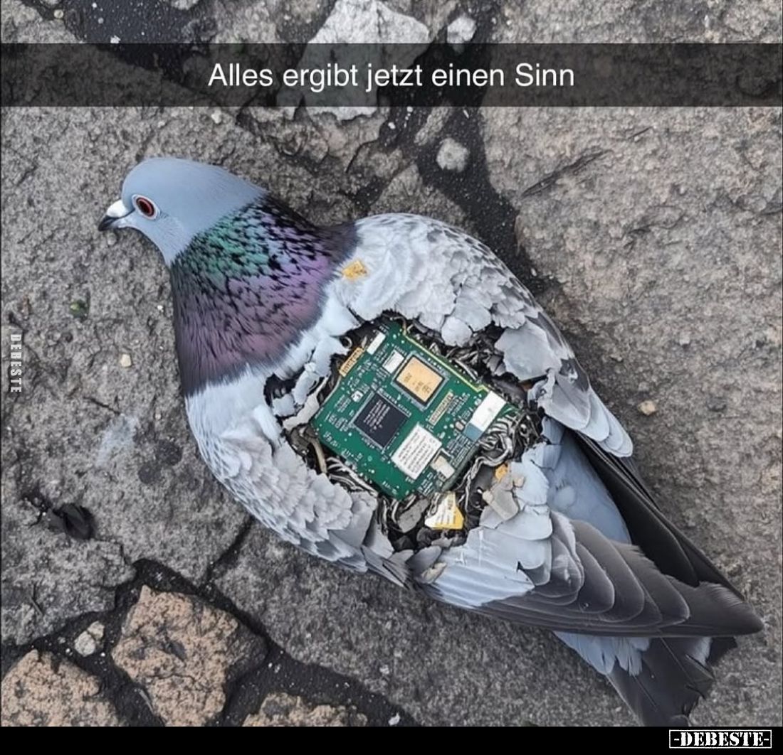 Alles ergibt jetzt einen Sinn.. - Lustige Bilder | DEBESTE.de