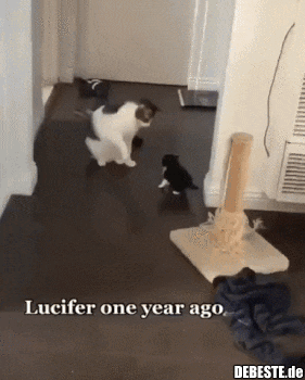 Weitergabe von Traditionen..