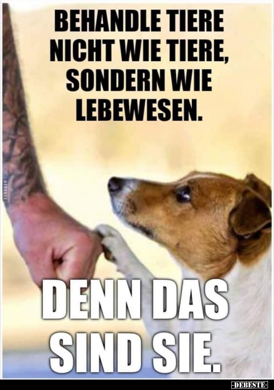 Behandle Tiere nicht wie Tiere, sondern wie Lebewesen.. - Lustige Bilder | DEBESTE.de