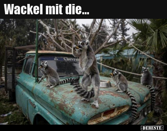 Wackel mit die...