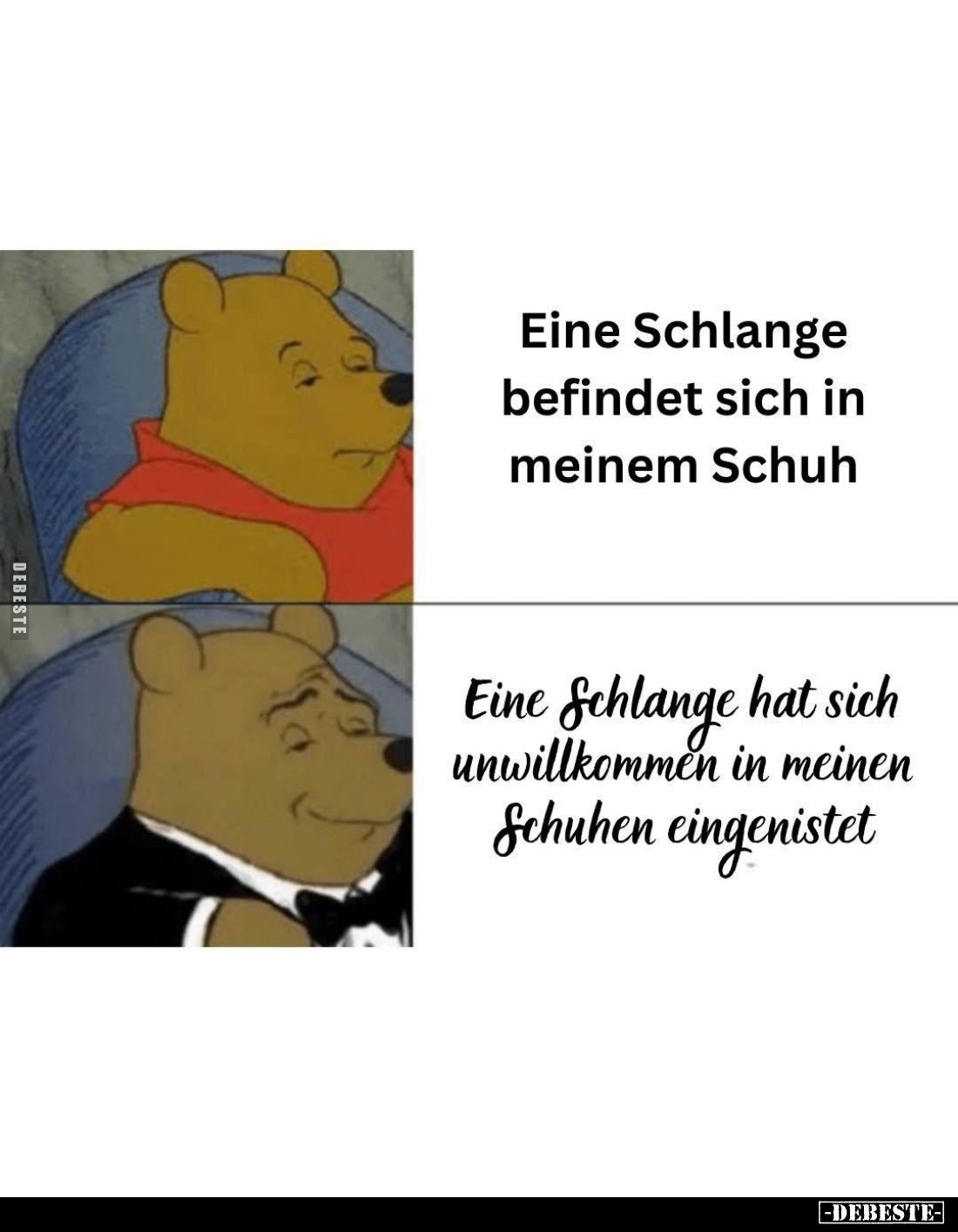 Eine Schlange befindet sich in meinem Schuh
-
Eine Schlange hat sich unwillkommen in meinen Schuhen eingenistet