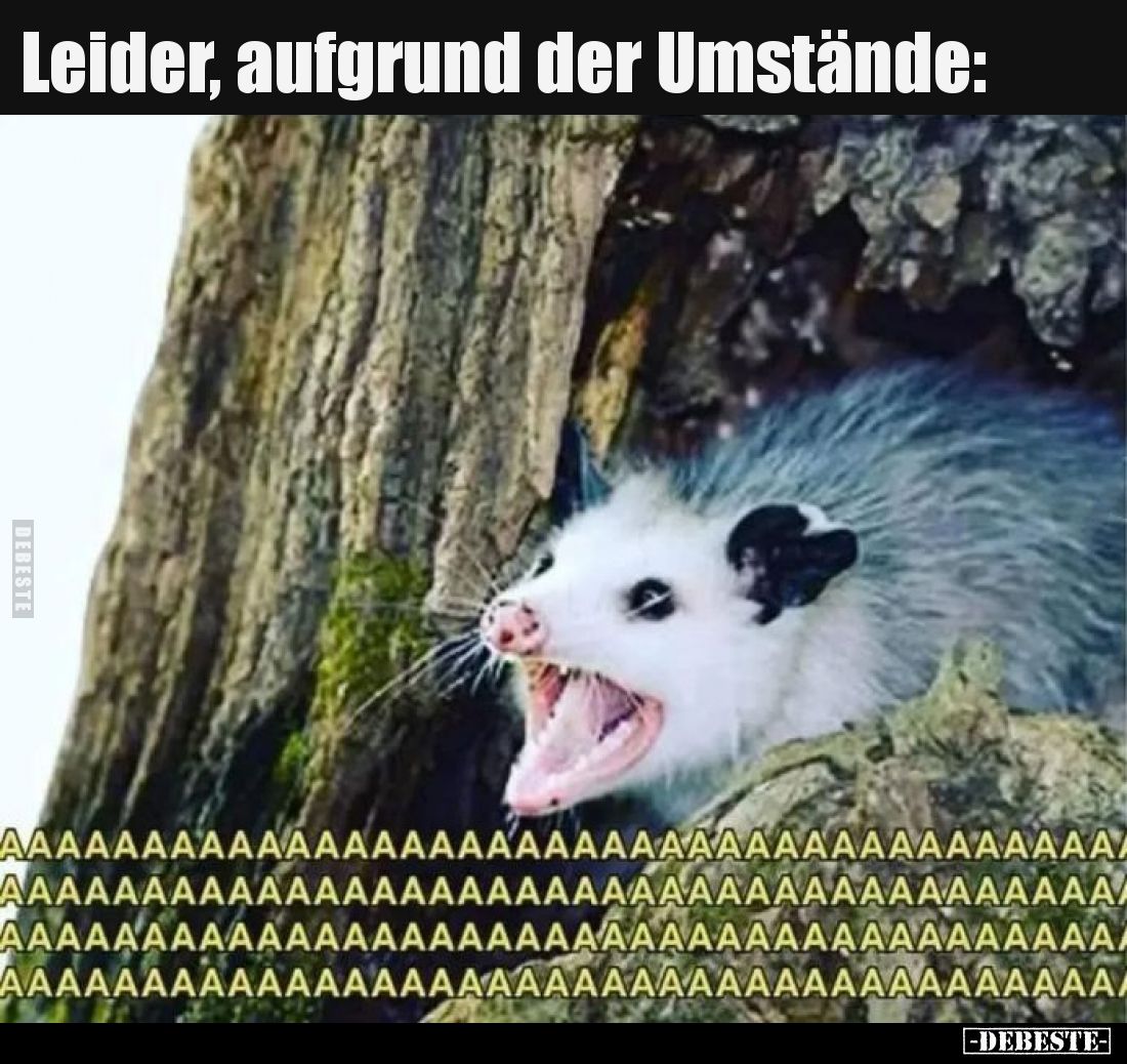 Leider, aufgrund der Umstände..
