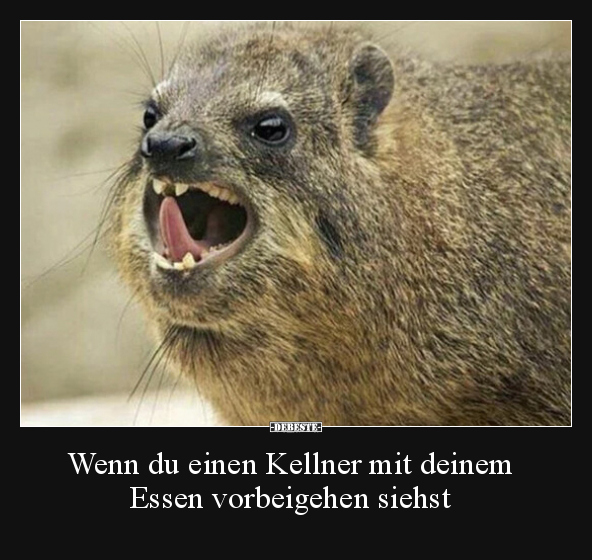 Wenn du einen Kellner mit deinem Essen vorbeigehen siehst.. - Lustige Bilder | DEBESTE.de