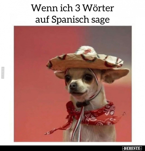 Wenn ich 3 Wörter auf Spanisch sage.. - Lustige Bilder | DEBESTE.de