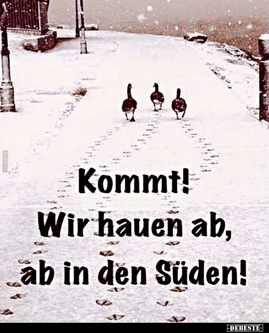 Kommt! Wir hauen ab, ab in den Süden!..