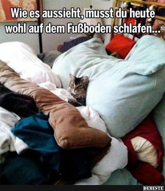 Wie es aussieht, musst du heute wohl auf dem Fussboden schlafen.. - Lustige Bilder | DEBESTE.de