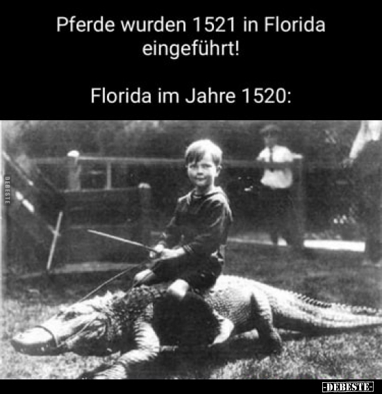 Pferde wurden 1521 in Florida eingeführt!.. - Lustige Bilder | DEBESTE.de