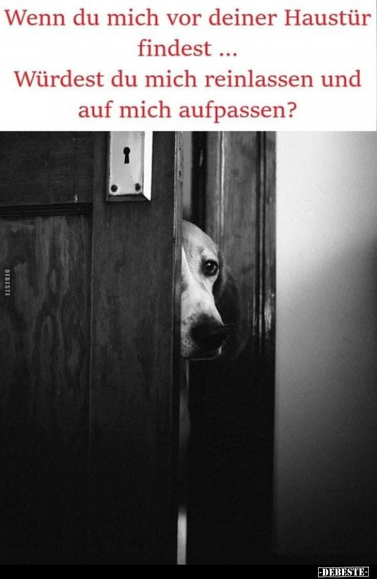 Wenn du mich vor deiner Haustür findest... Würdest du mich.. - Lustige Bilder | DEBESTE.de