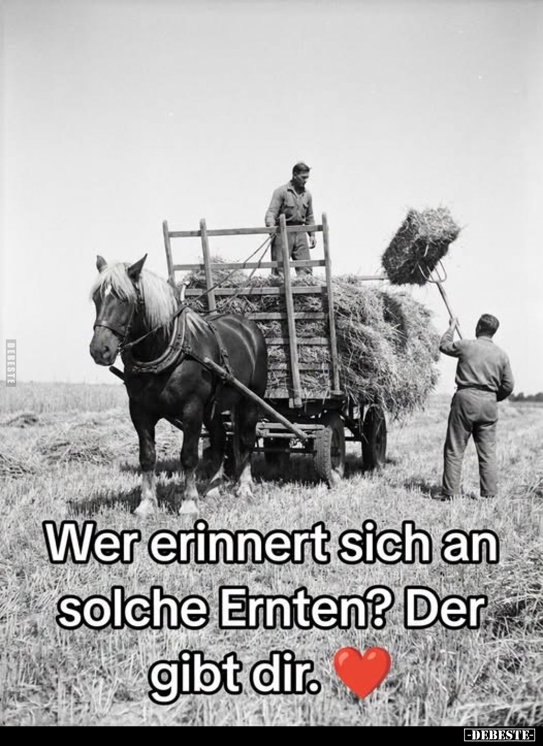 Wer erinnert sich an solche Ernten?.. - Lustige Bilder | DEBESTE.de