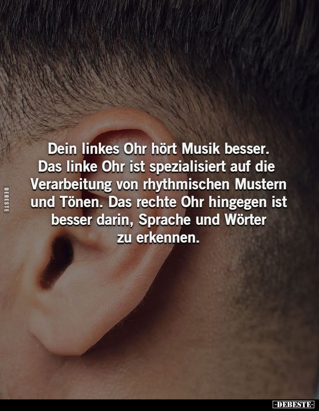 Dein linkes Ohr hört Musik besser.
Das linke Ohr ist spezialisiert auf die Verarbeitung von rhythmischen Mustern und Tönen. ...