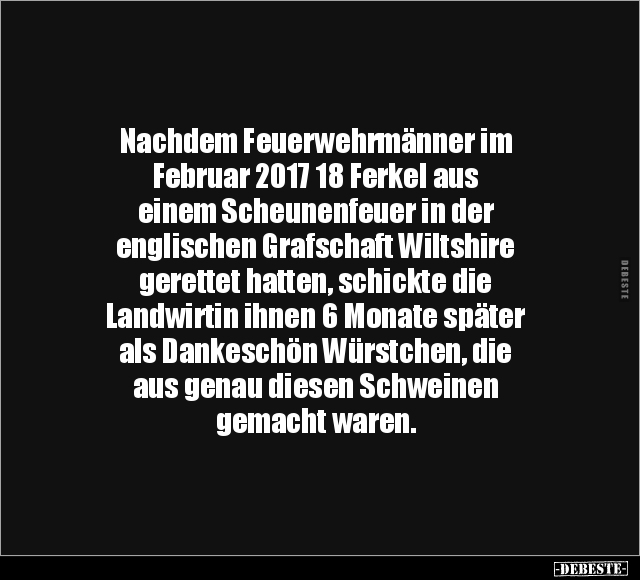 Nachdem Feuerwehrmänner im Februar 2017.. - Lustige Bilder | DEBESTE.de